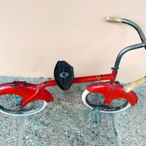 Bicicleta Veronese1